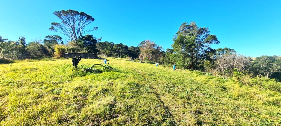 Commercial Property for Sale in Cintsa East Eastern Cape